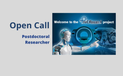 Postdoctoral Researcher (CT PnK Jul2021)