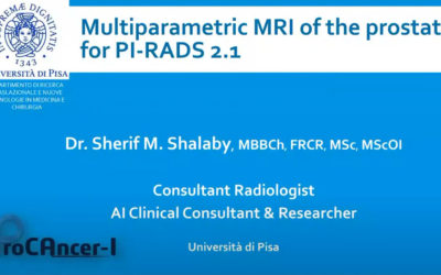 Multiparametric MRI of the prostate for PI-RADS Classification and the ProCancer-I project